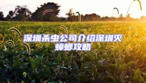 深圳殺蟲公司介紹深圳滅蟑螂攻略