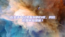 在生活中經(jīng)常看到的白蟻,我們該如何處理呢?