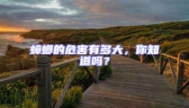 蟑螂的危害有多大,你知道嗎?