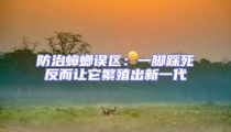 防治蟑螂誤區:一腳踩死反而讓它繁殖出新一代