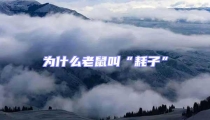 為什么老鼠叫“耗子”