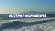 武漢又到白蟻活動猖獗時