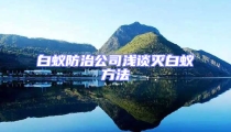 白蟻防治公司淺談滅白蟻方法