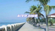 科學防治蟑螂