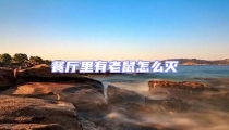 餐廳里有老鼠怎么滅