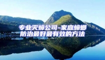 專業滅蟑公司-家庭蟑螂防治最好最有效的方法
