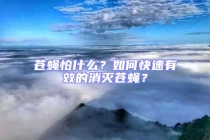 蒼蠅怕什么？如何快速有效的消滅蒼蠅？