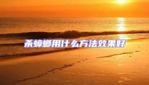 殺蟑螂用什么方法效果好