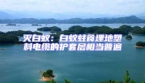 滅白蟻:白蟻蛀食埋地塑料電纜的護套層相當普遍