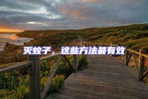 滅蚊子，這些方法最有效