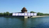 蟑螂到底有沒有毒