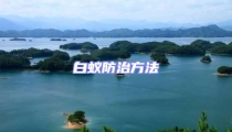 白蟻防治方法