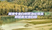 深圳專(zhuān)業(yè)白蟻防治公司怎樣徹底滅絕白蟻