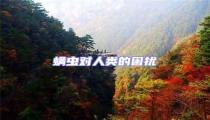 螨蟲對人類的困擾