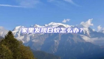 家里發(fā)現(xiàn)白蟻怎么辦?