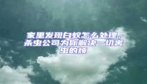 家里發現白蟻怎么處理,殺蟲公司為你解決一切害蟲的煩