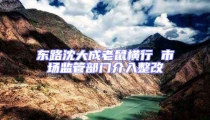 東路沈大成老鼠橫行 市場監管部門介入整改