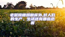 老鼠除糟蹋糧食外,對人們的生產、生活還有哪些危害