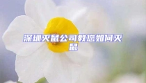 深圳滅鼠公司教您如何滅鼠