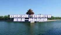 白蟻防治所:白蟻的分群繁殖是一種自然規(guī)律