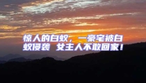 驚人的白蟻,一豪宅被白蟻侵襲 女主人不敢回家!