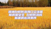 深圳白蟻防治海口立法保障房屋安全 白蟻防治成新建房必須條件