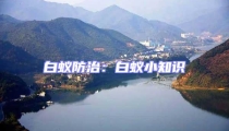 白蟻防治:白蟻小知識