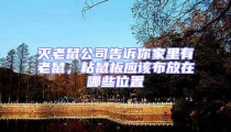 滅老鼠公司告訴你家里有老鼠,粘鼠板應該布放在哪些位置