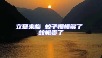 立夏來(lái)臨 蚊子慢慢多了 蚊帳貴了