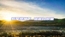 新屋樓梯下 暗藏白蟻巢