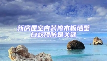 新房屋室內(nèi)裝修木板墻壁白蟻預(yù)防是關(guān)鍵