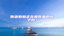 你還敢拍正在吸你血的蚊子嗎?
