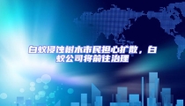 白蟻侵蝕樹木市民擔(dān)心擴(kuò)散,白蟻公司將前往治理