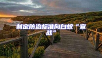 制定防治標準向白蟻“宣戰”