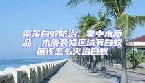 南溪白蟻防治:家中木質品、木質裝修區域有白蟻應該怎么滅治白蟻