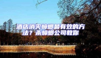 酒店消滅蟑螂最有效的方法?殺蟑螂公司教你