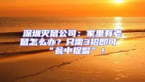 深圳滅鼠公司:家里有老鼠怎么辦?只需3招即可“甕中捉鱉”!