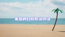 家庭的白蟻防治辦法