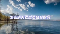 怎么消滅老鼠老鼠冬眠嗎