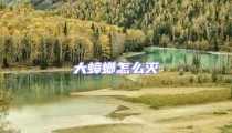 大蟑螂怎么滅