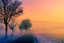 為什么蚊子永遠(yuǎn)不會被雨砸死？別被孩子問住了