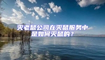 滅老鼠公司在滅鼠服務中是如何滅鼠的?