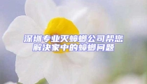 深圳專業滅蟑螂公司幫您解決家中的蟑螂問題