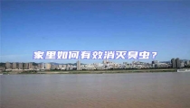家里如何有效消滅臭蟲?