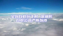 又到白蟻紛飛時(shí) 深圳防白蟻公司嚴(yán)陣以待