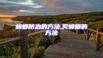 蟑螂防治的方法,滅蟑螂的方法