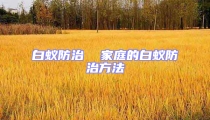 白蟻防治  家庭的白蟻防治方法