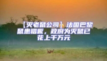 【滅老鼠公司】法國巴黎鼠患猖獗,政府為滅鼠已花上千萬元