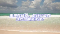 家里有蟑螂,怎樣才能有效徹底的消滅掉?
