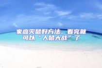 家庭滅鼠好方法，看完就可以“人鼠大戰”了